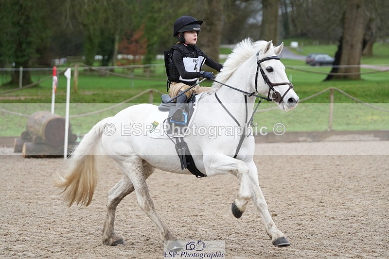 260301A-091007-01529 - NSEA 70-75cm