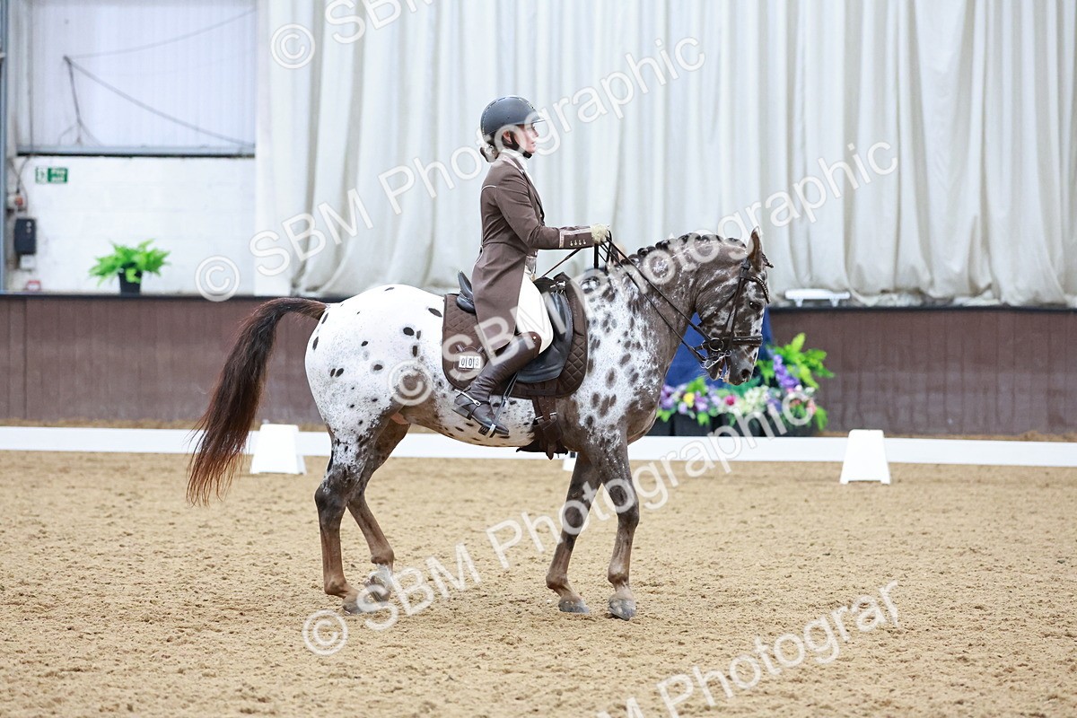 SBM_021412 - Class 14 - FEI Grand Prix - 17.40-18.34