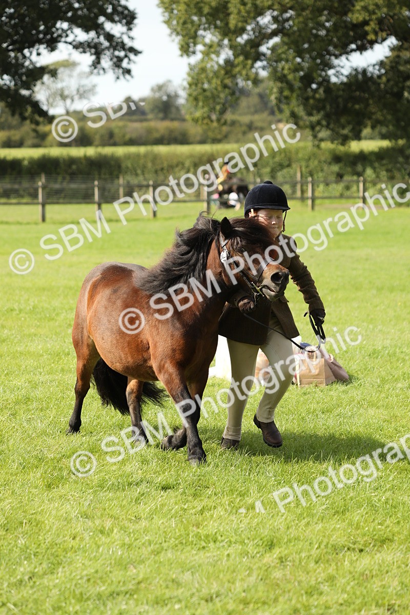 SBM_68619 - S40 - Junior Handler 9-12 Years