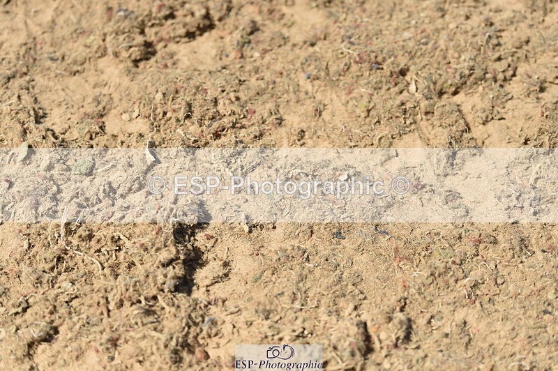 250628-152140-05861 - Cls 12 Newcomers Jump offs & Presentations