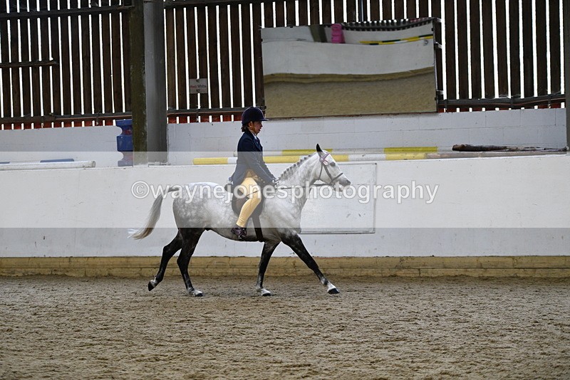 WJ5_7754 - Class 13 Ridden Part Breed