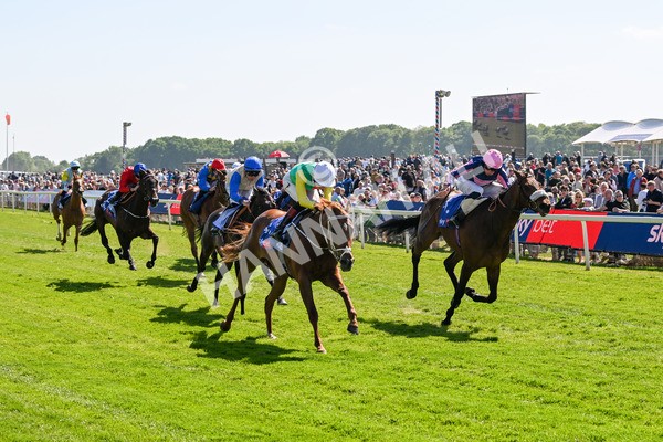 160525-Race 3-Kon Tiki-6441 - Race 3 3.13pm Sky Bet Fillies' Stakes