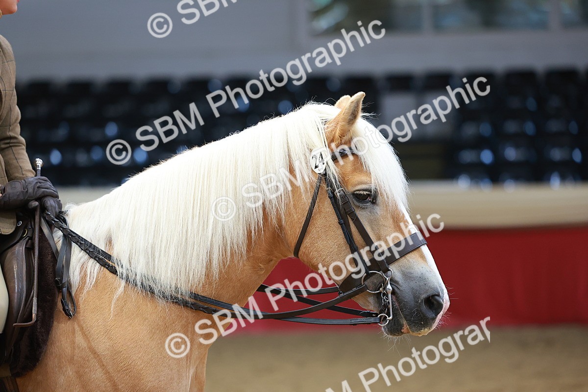 SBM_09713 - Class 102 - HOYS Veteran Qualifier - Ridden Veteran