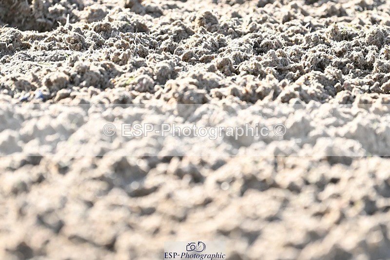 231105-104411-00826 - Cls 3 Prelim 12 9.54 to 11.10 break