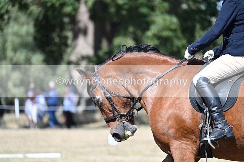 WJ7_0724 - Time 12:03 to 12:23