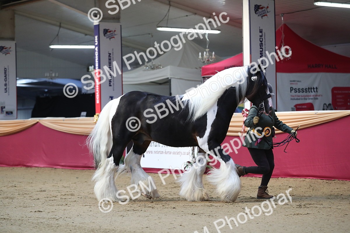 SBM_01412 - Class 3a Area IH Pre Vet