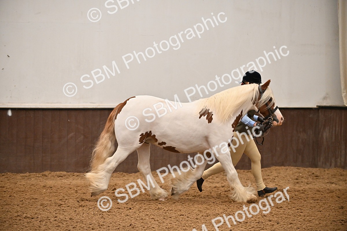 SBM_000012 - Class 1 - In Hand Cob