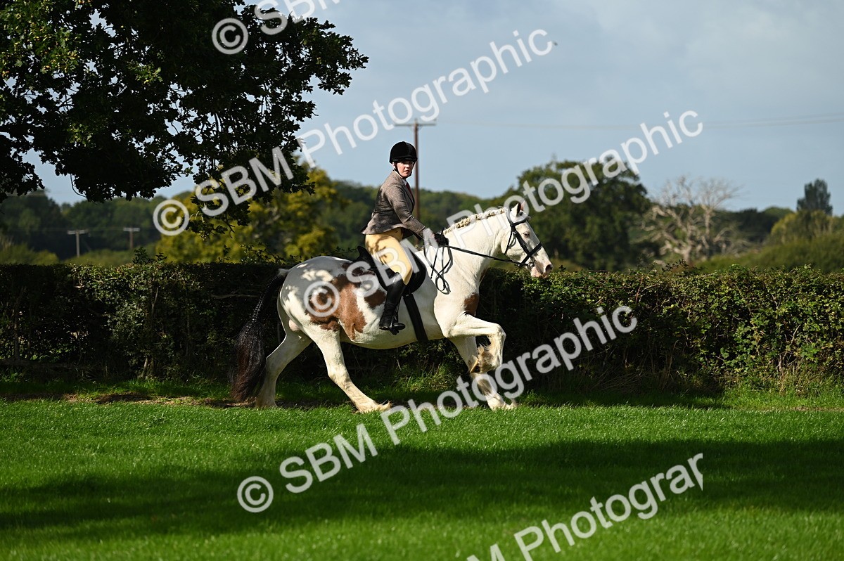 SBM_01359 - S2 - TSR Ridden Horse Showing