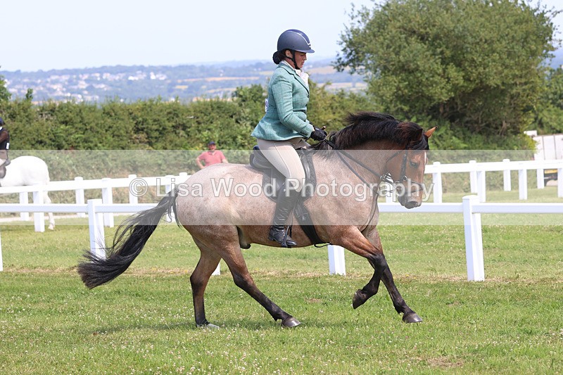 JPP_3236 - Class 22: Working Hunter 70cm