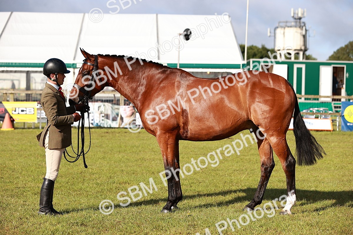 SBM_10806 - Class 81-84 - RIHS Ridden hunters Inc Ladies Hunter