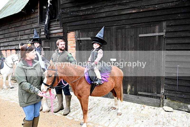 WJ7_6046 - Berks & Bucks - Children's Meet - The Old Farmhouse – Steventon.
