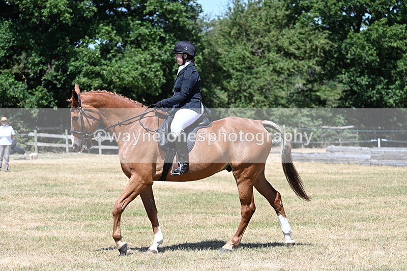 WJ7_2893 - Class 7 Riding Club Show Horse