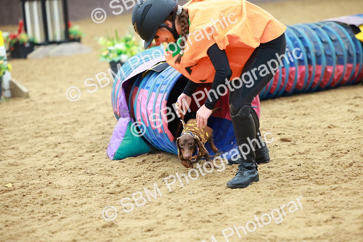 SBM_002210 - Class 3 - Horse & Hound (60cm)