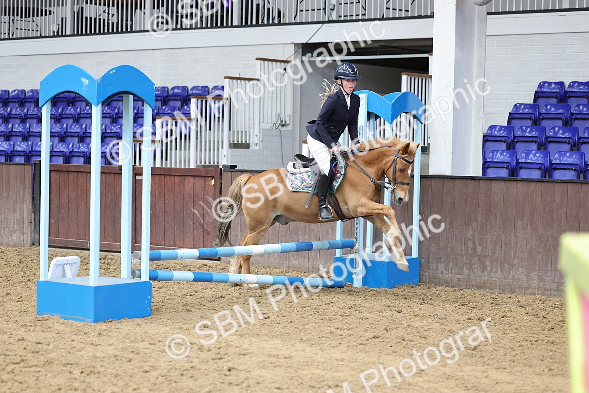 SBM_007288 - Class 2 - 50cm showjumping