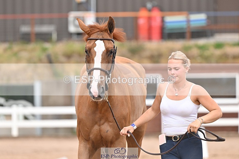 250716-163026-02652 - Trot Up 4.30 to 5.00