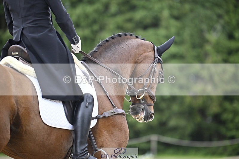 240523-160130-05366 - 452-FALCO_IV-Tim_Price