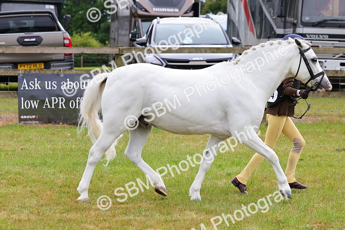 SBM_09612 - Class 44-45 - LIHS BSPS Open Nursery and Cradle Stakes