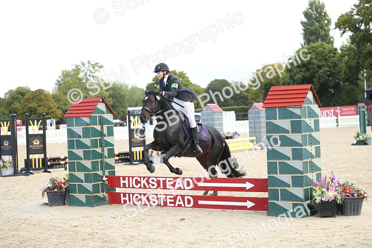 SBM_37281 - J20 - Junior Horse 50cm Championship