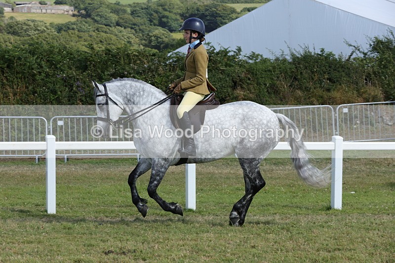 1X9A5882 - Class 41:. NPS New Forest & Connemara