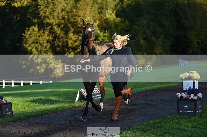 231022-085924-21490 - 603-KILBUNNY.BLUE.BIRD-Claire.Deuten-TrotUp+SJ