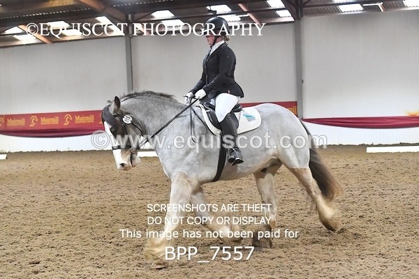 BPP_7557 - INTRO TEST 3