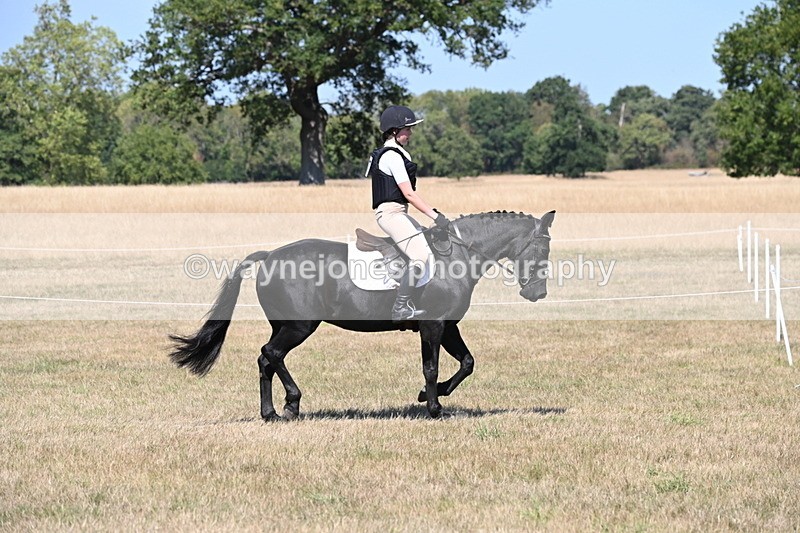 WJ6_8785 - Class 38 Ridden Riding Horse/Pony