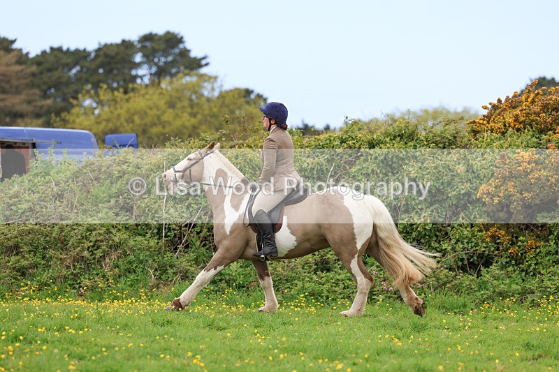 3E7A0998 - Class 6: Ridden Coloured