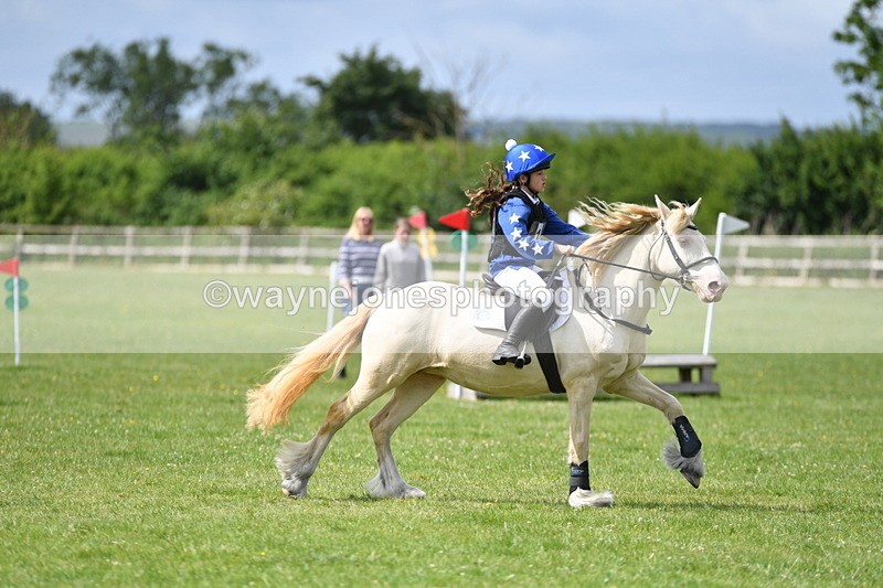 WJ5_2693 - Class 2 40cm