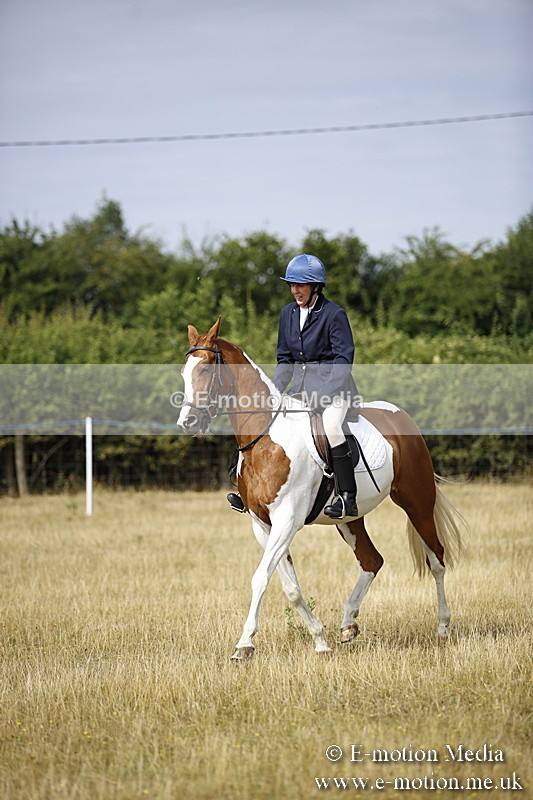 _C7A9293 - BVRC Show 2018 Ring 1