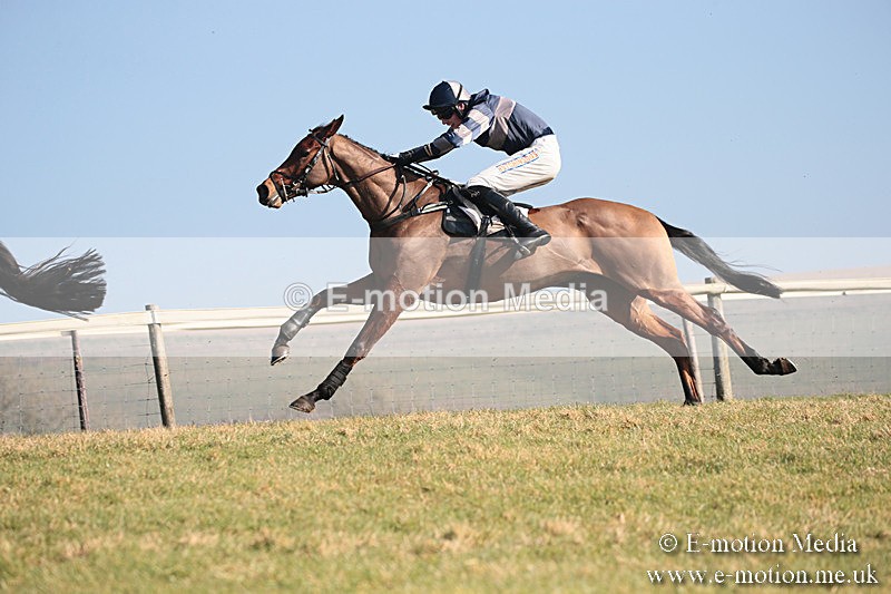 PtP 230219 110 - Vine & Craven Point-To-Point - Barbury 23/02/19