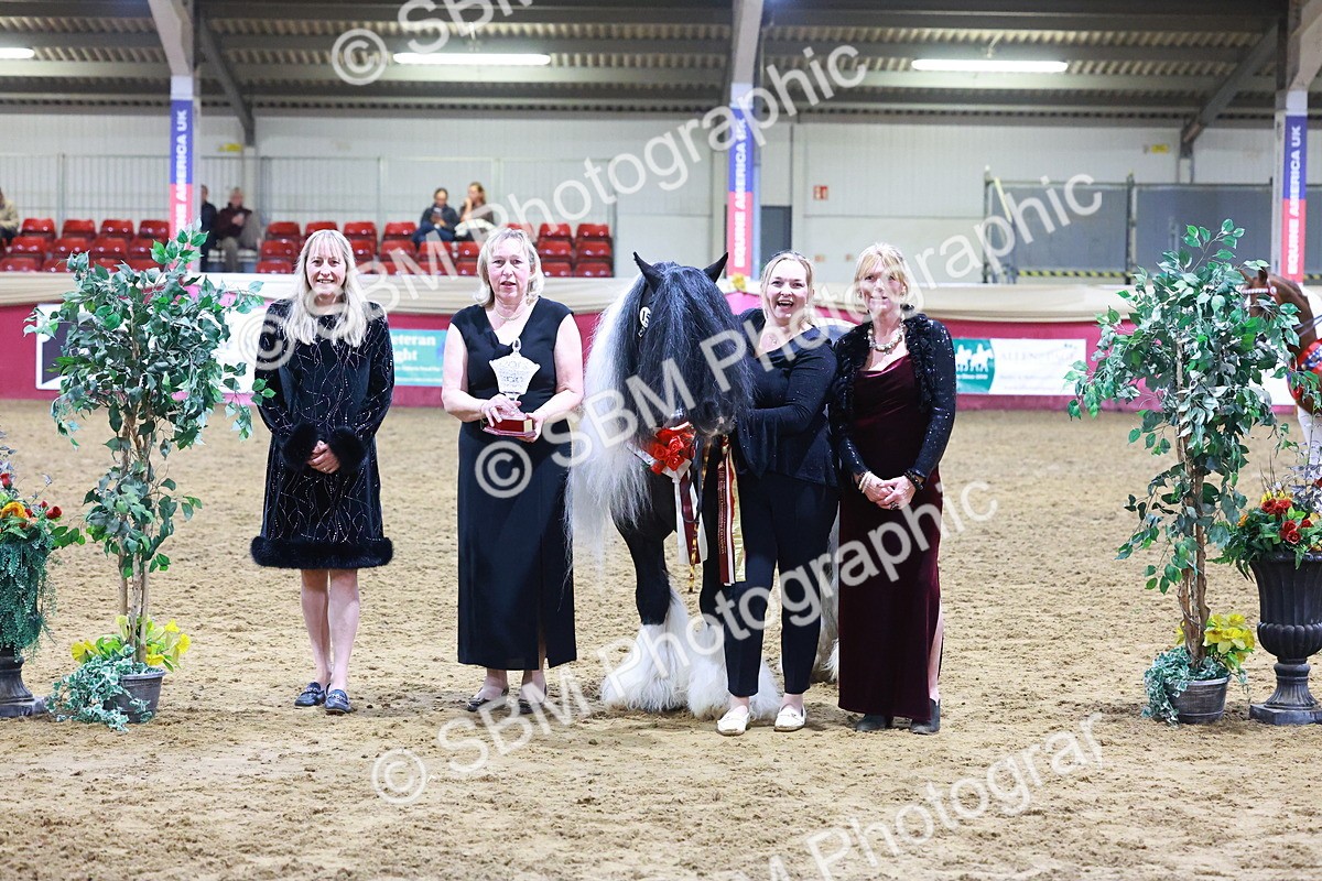 SBM_14927 - Class L - Coloured Champ