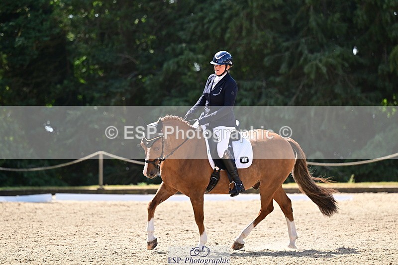 260731A-111413-00275 - Elementary Bronze 10.30 - Break