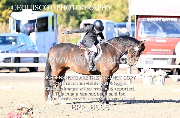 BPP_8565 - SHORT ARENA