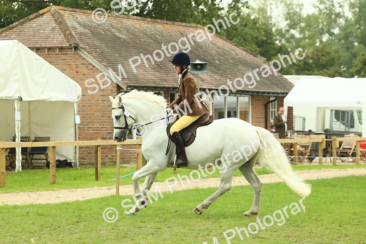SBM_72181 - S60 - Mountain & Moorland Ridden Large Breeds
