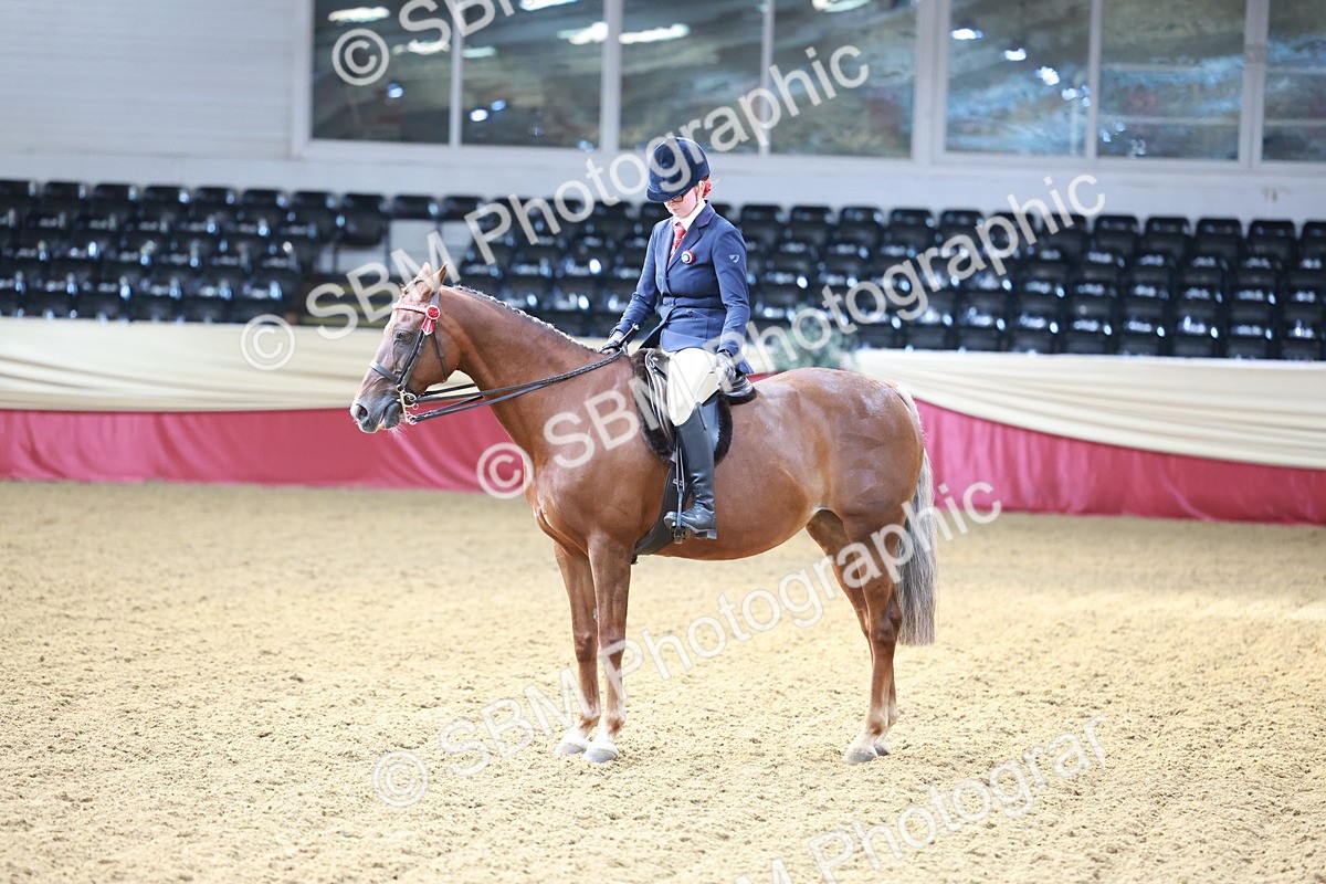 SBM_11940 - Class 102 - Equitation (Best Rider) Adult