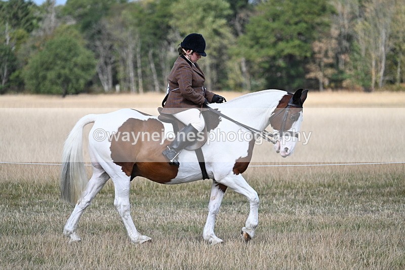 WJ7_6711 - Class 14 Ridden Coloured