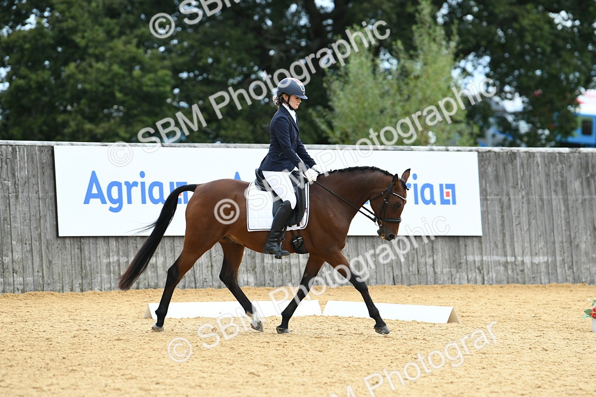 SBM_09963 - D15 Small Tour Championship Novice 24