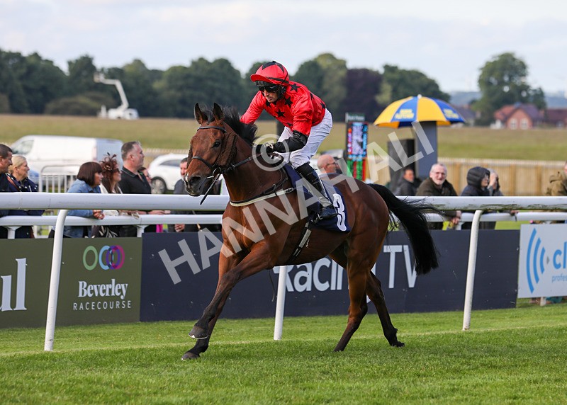 180624-Race 3-Sunny Orange-7870 - Race 3