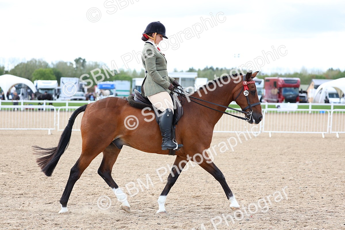 SBM_10090 - Class 304 - Ridden Part Bred Horse Pony