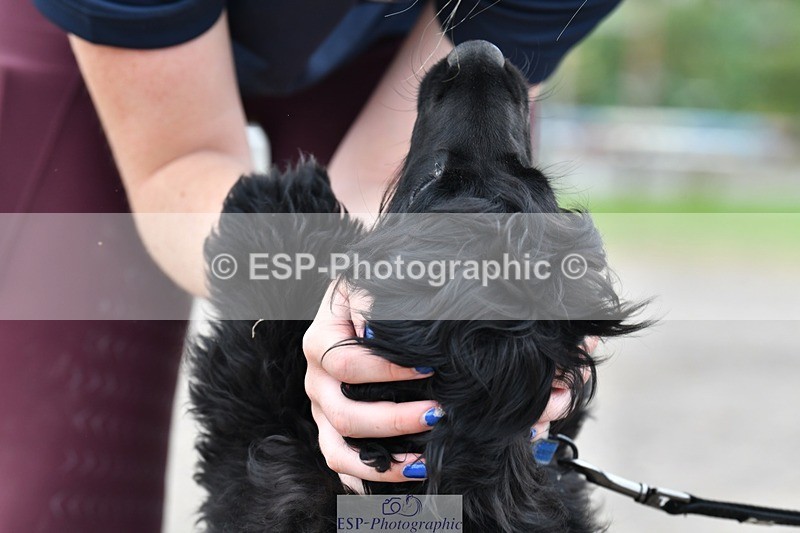 230817-124350-02807 - Stable Shots