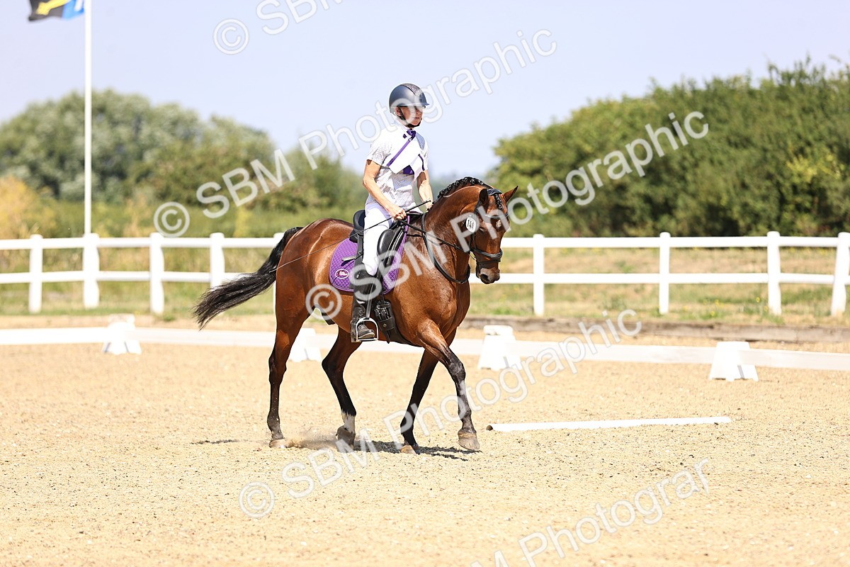 SBM_003719 - Intro 2