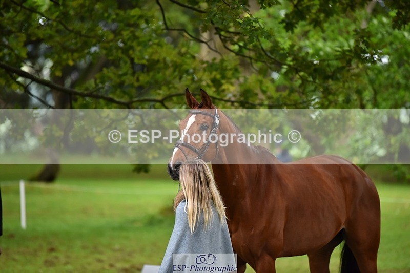 240522-160456-00696 - 152-MODRIX_DOR_VAN_DE_MISPELAERE-Annabel_Walsh