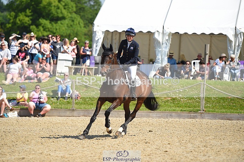 230528-103408-15018 - 263-CARWARTHEN_HARRIER-Polly_Muirhead-SJ