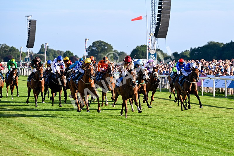 240726-Race 4-Rajaking-5322 - Race 4 19.15pm Tomahawk Handicap