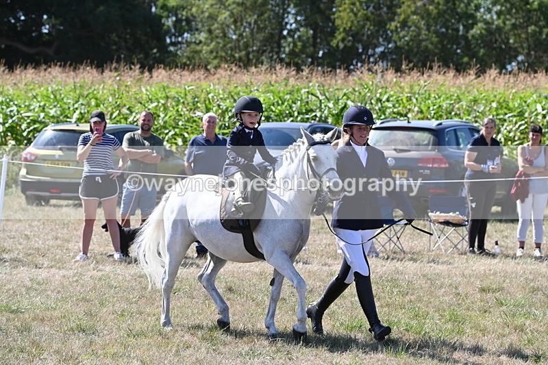 WJ6_7998 - Class 36 Lead Rein
