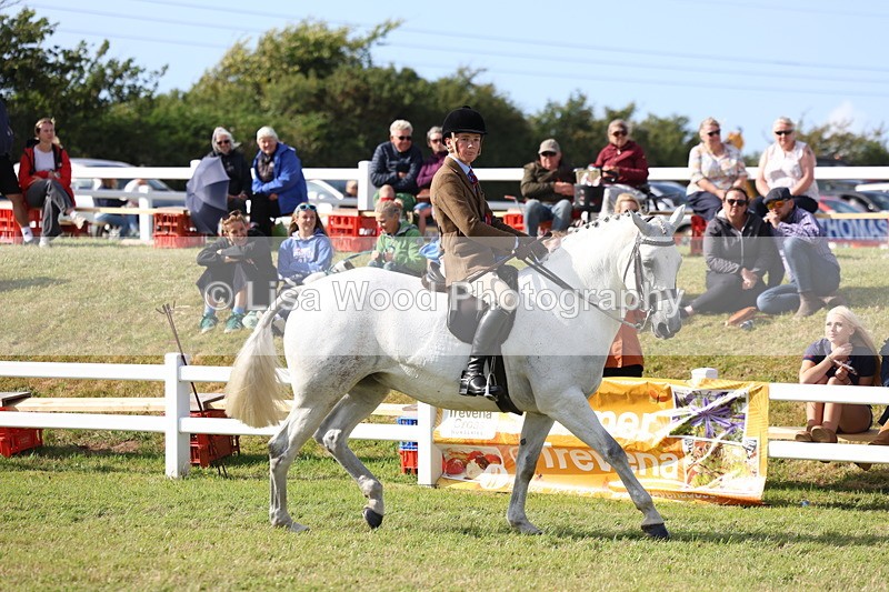 3E7A3843 - Supreme Championship