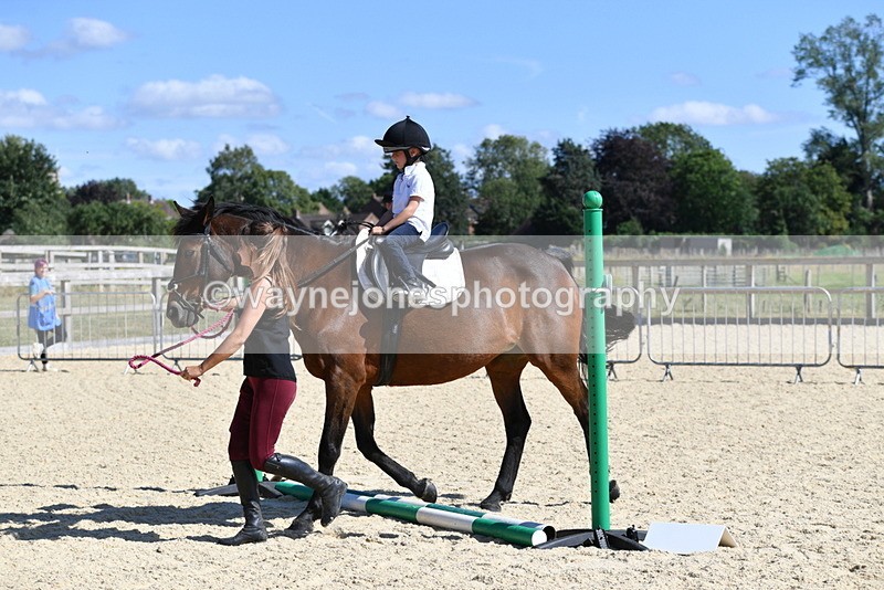 WJ5_5131 - Poles on the Floor