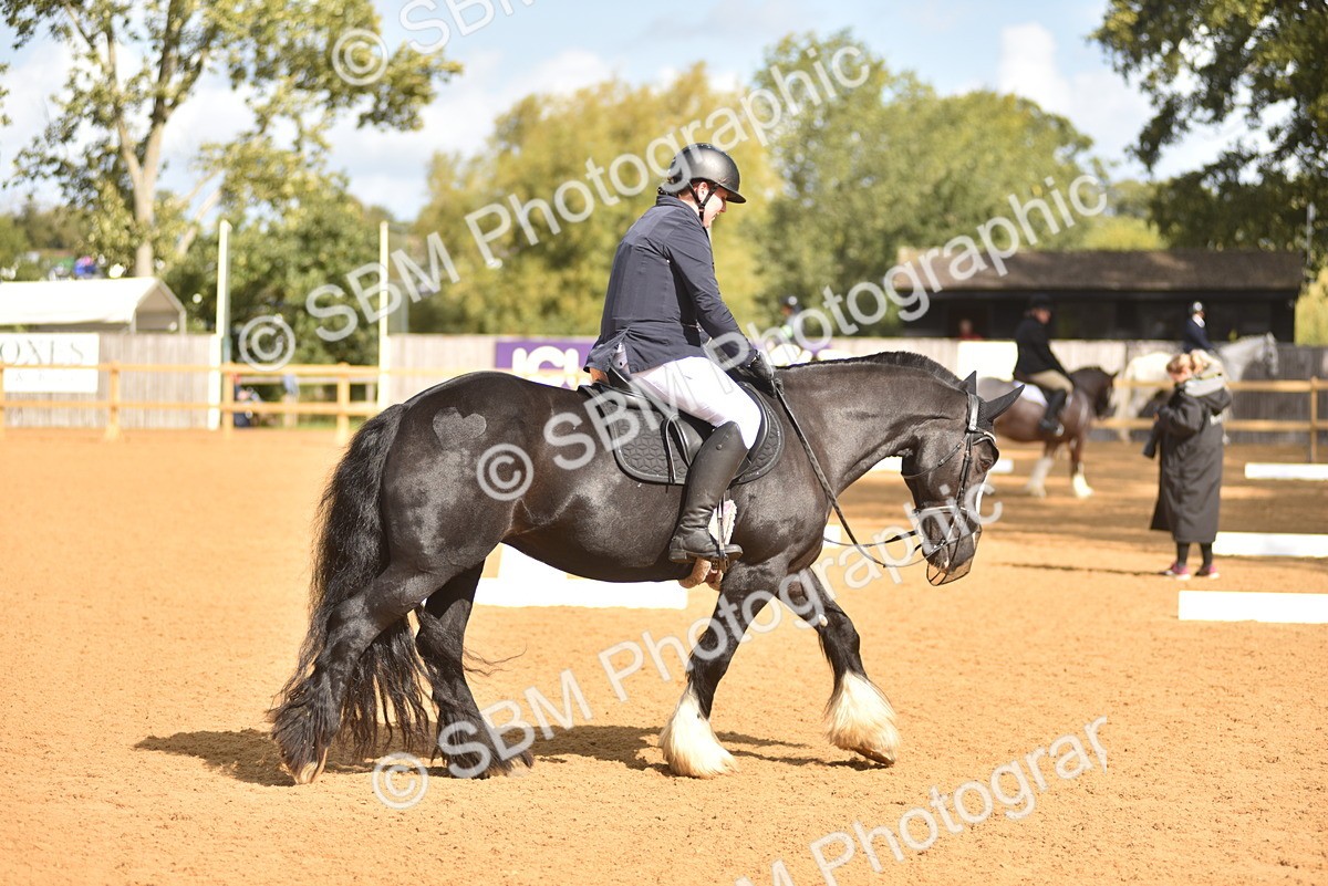SBM_03282 - D4 - Small Tour Championship Intro 4