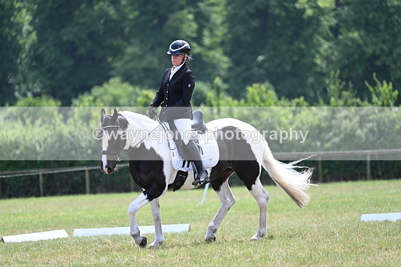 WJ7_6592 - Time 12:45 to 13:01