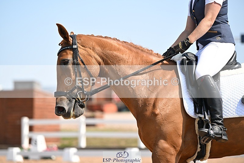 250816-122505-04500 - 051-Alana.ShaplandForever.Autumn.DS